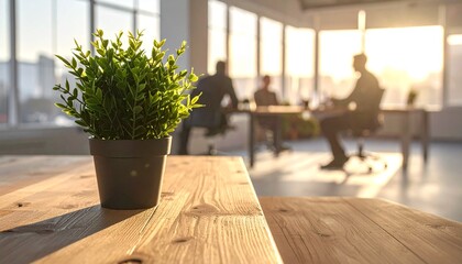 Fototapeta premium Modern Office Meeting Room with Natural Light and Green Plant.