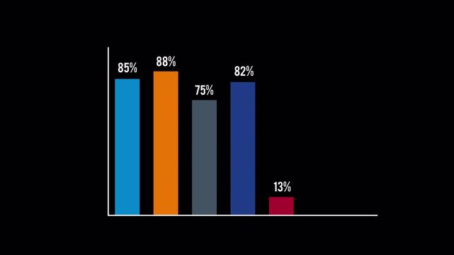 Animated bar chart graphic showing data growth and fluctuations over time.