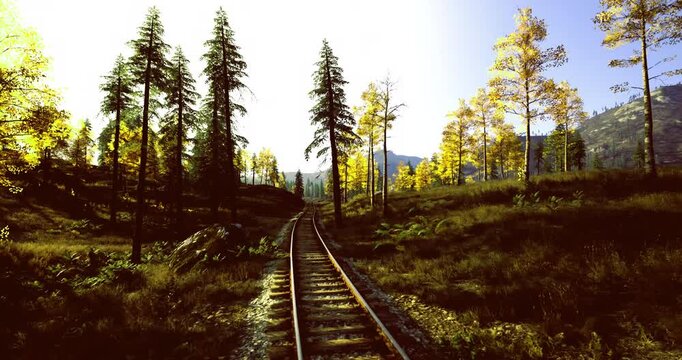 moody railroad tracks through shadowed pines, dusk light and cool tones create long vanishing point, mossy sleepers and overgrown ballast line embankment,