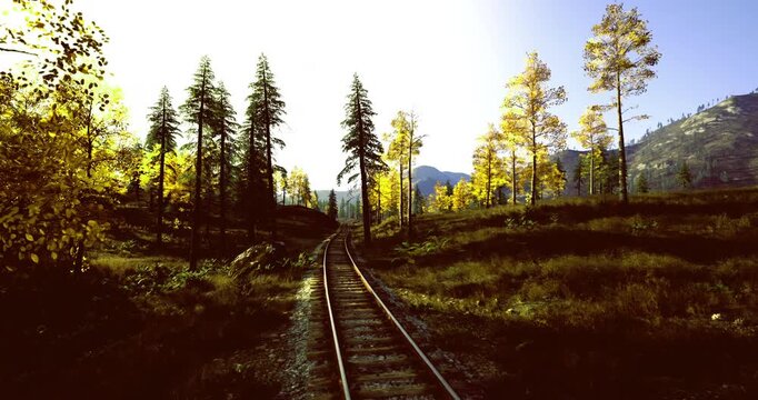 Historic timber railway through woods and sunlit clearings, aged sleepers and rustic ballast hint at industrial past and conservation story, great for heritage
