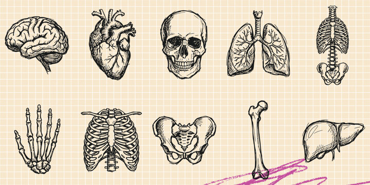 Corporate performance and business uptrend diagram illustrating future plan sales growth stock market trade and commercial success