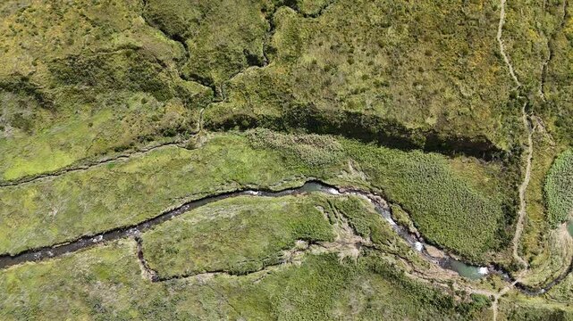 Aerial Wetland River In South Africa, Topdown Drone Footage Of Winding Creek Through Green Marsh And Reed