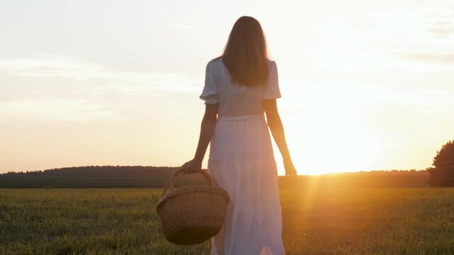 Silhouette of lady with basket. Calm summer evening in golden meadow. Woman walking away through sunset lit rural hilly landscape. Woman carrying basket goes in warm twilight meadow