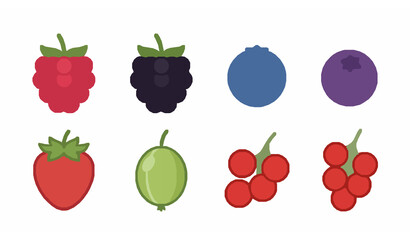 Raspberry and blackberry flat vector icon set with sweet healthy organic berry fruit illustration © Mst.Razia