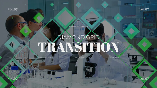 Diamond Grid Transition / Horizontal / Part 07