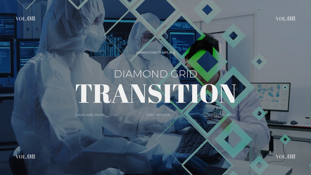 Diamond Grid Transition / Horizontal / Part 08