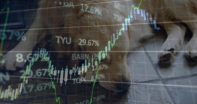 Golden dog lying on tiled porch, market feed casting rising falling charts overlaying values on fur
