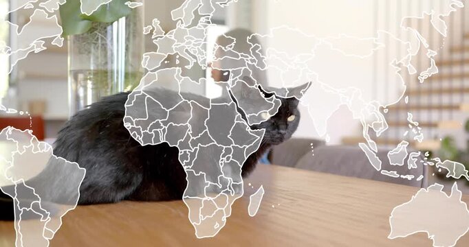Teen girl sitting black cat turning toward offscreen as map overlay fading across table for design