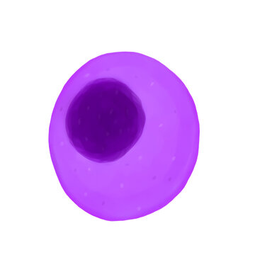 Plasma Cell Artistic Medical Illustration &ndash; Antibody Producing Immune Cell Digital Painting