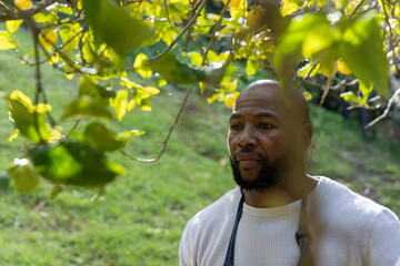 African American man standing under fruit tree on grassy slope wearing dark strap, copy space © wavebreak3