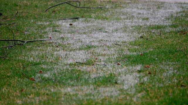 Heavy rain flooding a grassy lawn with visible water flow and ripples. Outdoor scene showing storm impact, saturated ground, and accumulation of rainwater in natural environment.