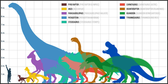 Dinosaur Size Comparison Chart with Human Silhouette &ndash; Pyroraptor, Iguanodon, Stegosaurus, Parasaurolophus, Patagotitan, carnotaurus, gigantoraptor, Tyrannosaurus