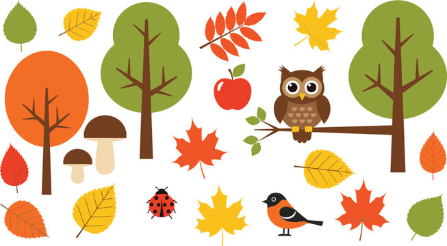 Set of autumn forest elements including trees leaves owl and mushrooms isolated on white background fall vector illustration collection
