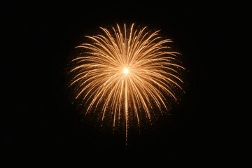 Fototapeta premium Vibrant orange firework explodes in night sky with bright sparks and streaks of light