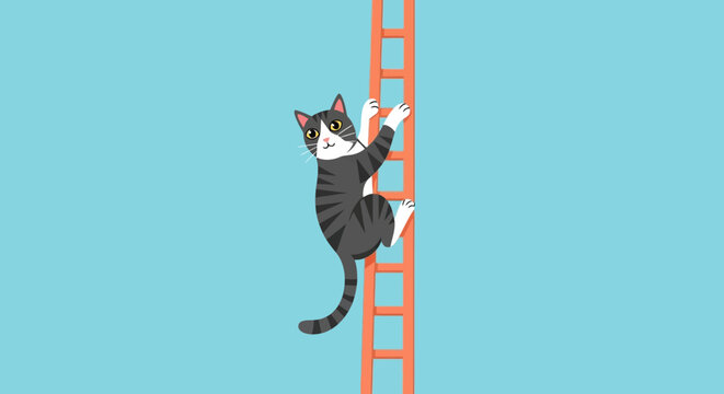 Black and white cat climbing ladder.