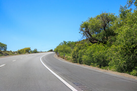 Gray strip of winding asphalt road with green shrubs and trees along its both shoulder sides under a clear blue sky; copy space