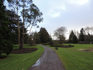 Fototapeta premium Blarney castle Estate - Ireland