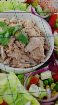 Vertical video: Camera sweeping salad revealing tuna while blue grid annotating info for food ads