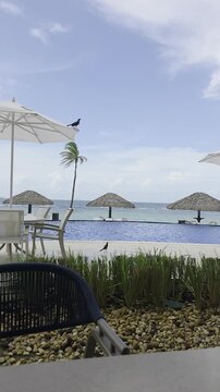 Vertical view of a pool in a tropical beach.
