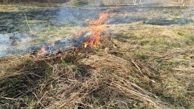 Burning dry grass in the open air №2