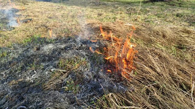 Burning dry grass in the open air №1