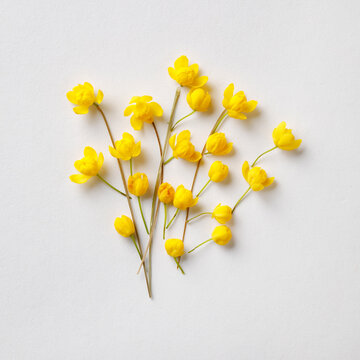 Yellow spring flowerr bouquet on white background