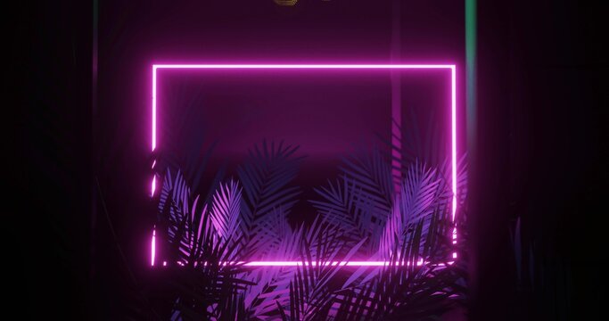 Glowing magenta neon frame bathing studio in purple haze, with palm fronds and green strip