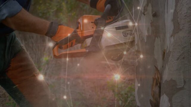 Gloved hands positioning chainsaw against trunk, worker cutting bark steadily for safe pruning