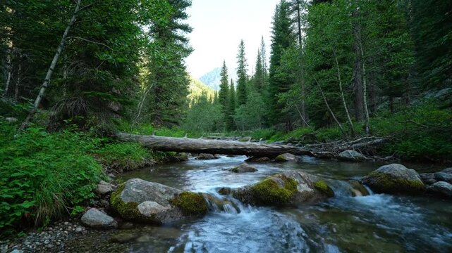 Tranquil mountain stream flowing through lush green forest with rocks and log bridge nature scenery