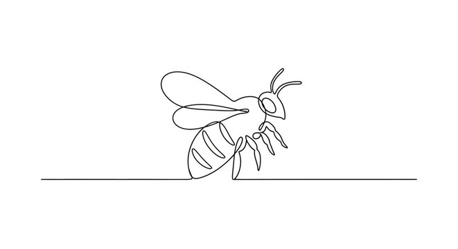 Minimalist single line drawing of a bee on a horizontal line, clean design