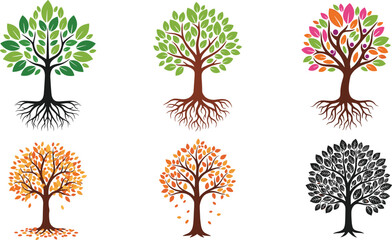 Obraz premium Seasonal Tree Collection Vector Illustration Featuring Spring Summer Autumn and Decorative Trees with Roots Leaves and Colorful Foliage for Nature Design