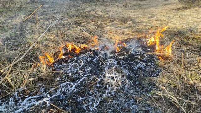 Burning dry grass in the open air №5