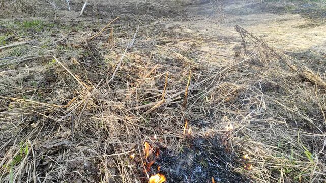 Burning dry grass in the open air №4