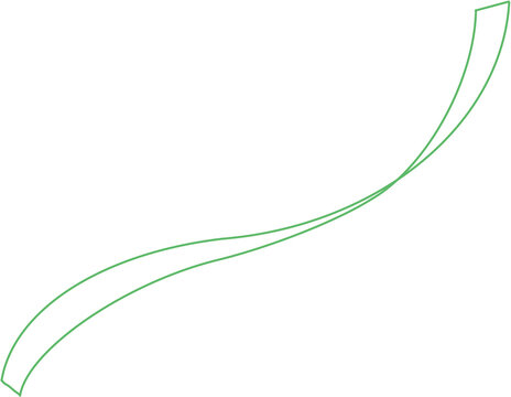 hand-drawn ribbon graphic in green tone