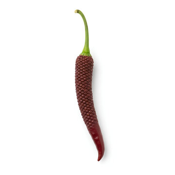 Closeup of a vibrant red chili pepper against a white background.