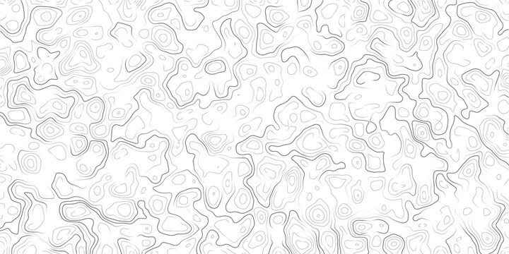 Abstract topographic map pattern with wavy lines and contours on white background