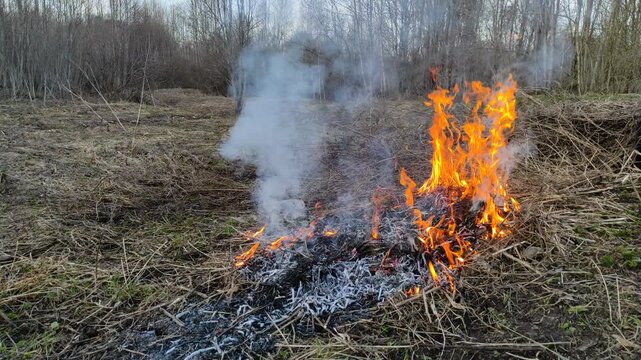 Burning dry grass in the open air №8