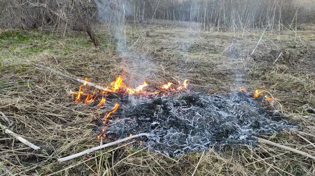 Burning dry grass in the open air №9