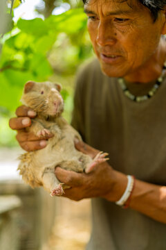 Indigenous man holding guinea pig on a rural farm