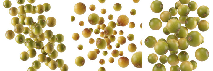 Marula fruits flying composition isolated on white background, Sclerocarya birrea small yellow-green fruits scattered with smooth skins in dynamic motion © Sweet