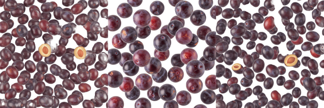 Illawarra plums flying composition isolated on white background, Podocarpus elatus deep purple oval fruits scattered in motion with smooth glossy skins