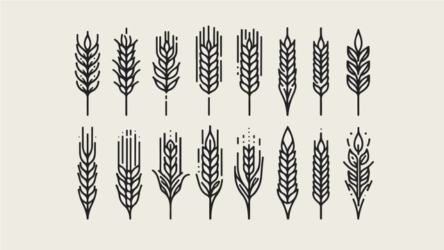 Monochrome wheat patterns: A collection of meticulously designed wheat icons, showcasing the intricate detail and beauty of natural forms, perfect for illustrating agriculture, harvest.