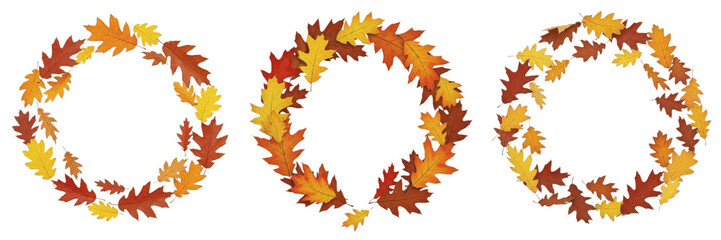 Fototapeta premium Set of autumn oak leaf wreaths and circular frames isolated on white background, fall season decorative foliage borders for invitation and greeting cards.