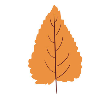 Large Autumn Leaf Illustration &ndash; Orange Botanical Fall Seasonal Leaf