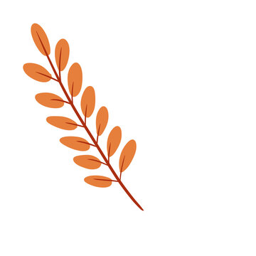 Small Elongated Leaf Branch Illustration &ndash; Autumn Botanical Warm Foliage Decorative Element