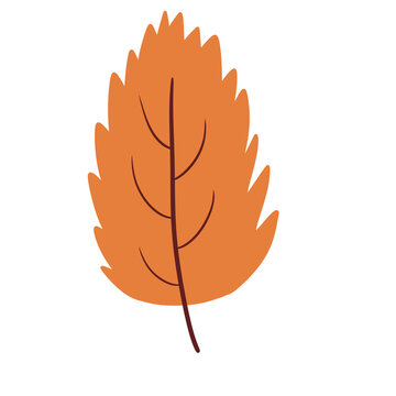 Pointed Autumn Leaf Illustration &ndash; Orange Botanical Fall Seasonal Leaf