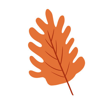 Lobed Autumn Leaf Illustration &ndash; Orange Botanical Fall Seasonal Leaf