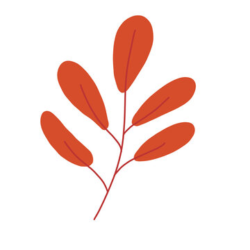 Red Leaf Branch Illustration &ndash; Autumn Botanical Warm Foliage Decorative Element