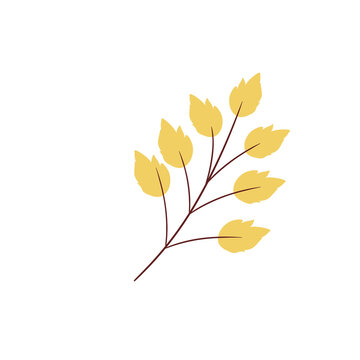Yellow Leaf Branch Illustration &ndash; Autumn Botanical Soft Foliage Decorative Element