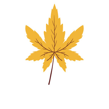 Golden Maple Leaf Illustration &ndash; Autumn Fall Botanical Seasonal Leaf